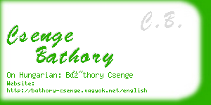 csenge bathory business card